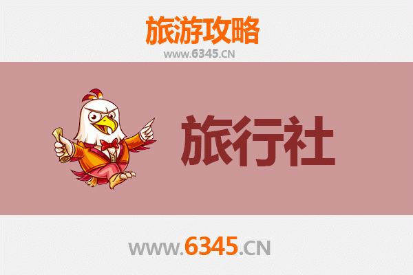 德州武城旅行社全攻略：本地特色线路与贴心服务推荐